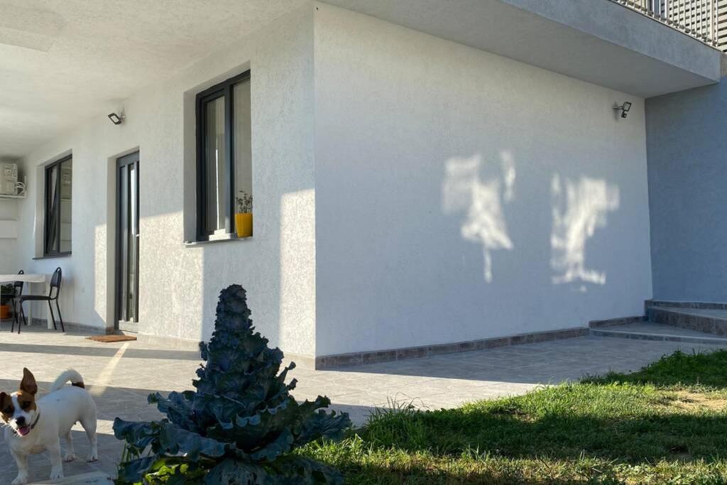 Lola seaview guest house. Уютный Домик в Варне Варна Экстерьер фото