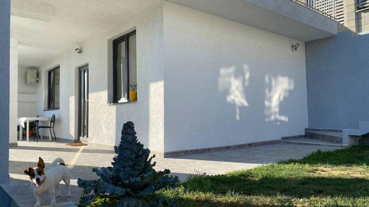 Lola seaview guest house. Уютный Домик в Варне Варна Экстерьер фото